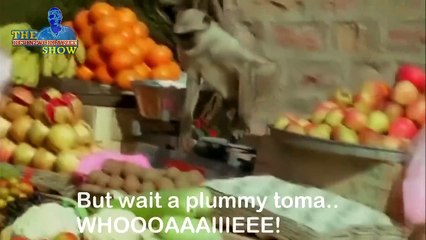 Jaminals jamaican animal voice over