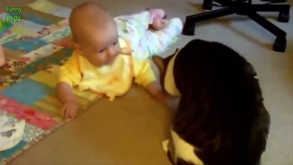 Cute Cats and Dogs Love Babies Compilation 2014 (7)