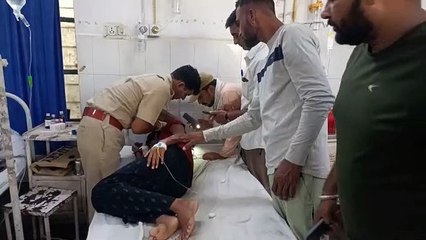 Were gathered to see the panther, the bees rushed to the hospital, a girl along with four policemen were injured