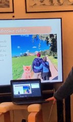 Top Reasons to Welcome a Cat into Your Family 🐱