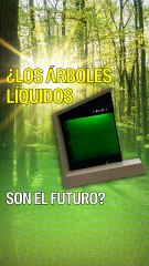 ¿Los árboles líquidos son el futuro?