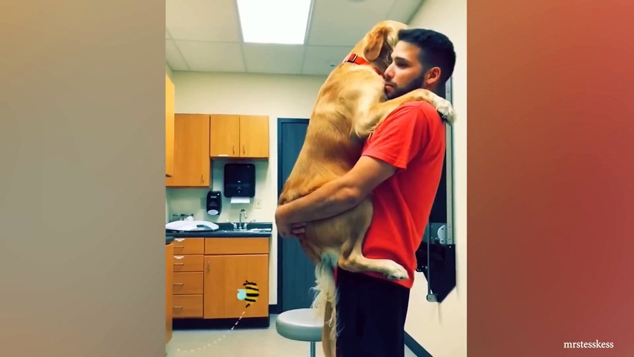 'Brave' dogs reaction when realize he's going to the Vet