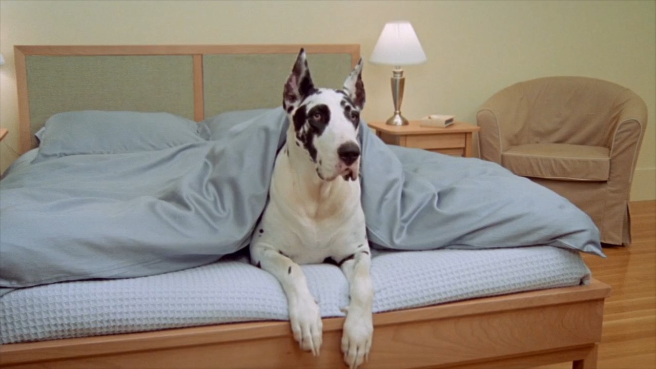 Duvet vs. Comforter: Which Is the Right Choice for You?