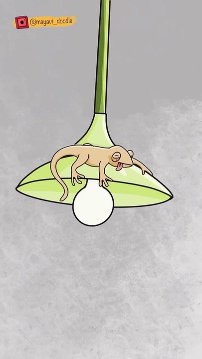 Funny animals... Animated Lizard