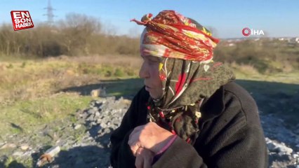 Arnavutköy'de sulama kanalına düşen dana kurtarıldı