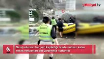 Baraj suları her yeri kapladı! Sokak hayvanları bot ile kurtarıldı