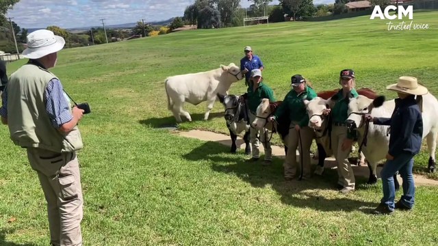 Chris Seabrook retires after 47 years | Western Advocate | 31/03/2023