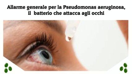 Allarme generale per la Pseudomonas aeruginosa, il  batterio che attacca agli occhi