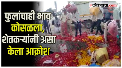 जालन्यात फूल उत्पादक शेतकरी आक्रमक; योग्य भाव न मिळाल्याने फुलं फेकली नाल्यात | Jalna
