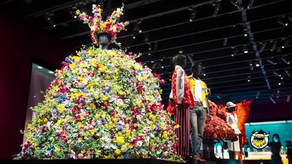 Florence Pugh Sweats From Her Eyebrows While Eating Spicy Wings _ Hot Ones