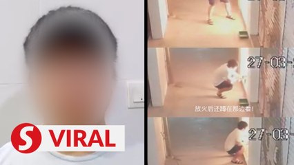 Man admits to setting dog on fire, asks for forgiveness