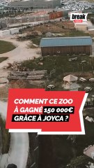 Comment ce zoo a gagné  150 000€ grâce à Joyca ?