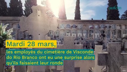 Une mère de famille de 36 ans enfermée vivante dans une tombe