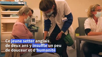 Snoopy à l'Institut Curie, c'est y "faire entrer une sorte d'humanité" pour les patients