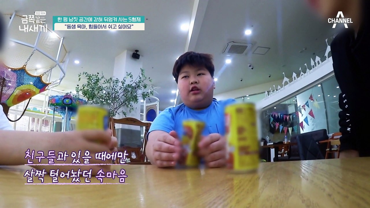 [금쪽이 속마음] 육아가 힘들어서 쉬고 싶다는 첫째! 미안하다는 말로 끝내는 속마음