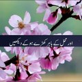جنت کیسی نظر آتی ہے