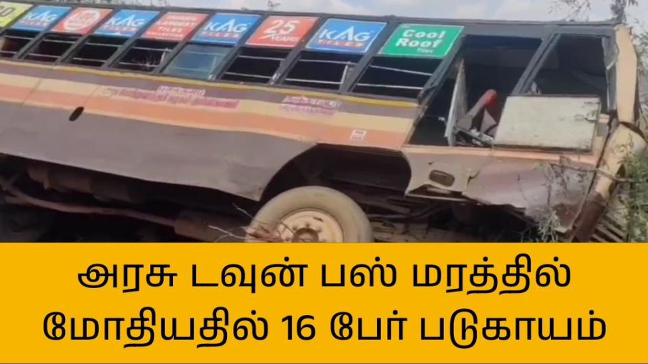 புதுகை: பஸ் மரத்தில் மோதி கோர விபத்து-பலர் படுக...