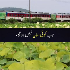 اللہ تعالی کا قیامت کے دن سایہ