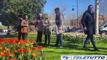 Video News - A SIRMIONE I TULIPANI DEL PARCO SIGURTA'