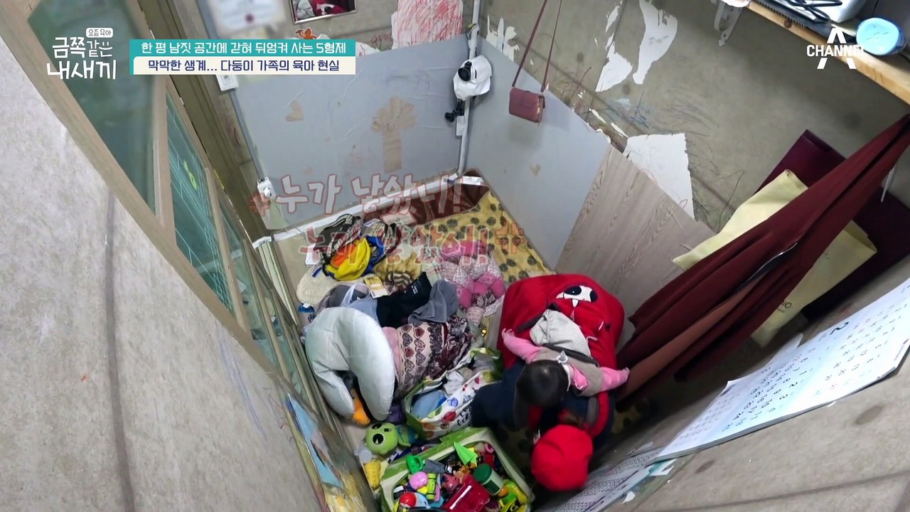 생계때문에 챙겨주지 못해 미안한 엄마! 다둥이 가족의 육아 현실