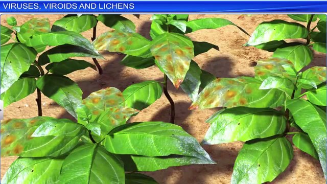 7. Viruses, Viroids and Lichens