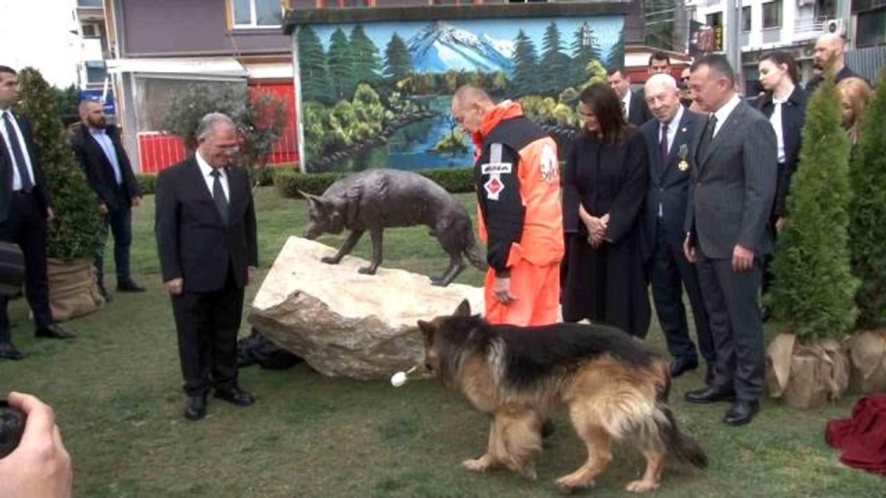 17 Ağustos depreminin kahraman arama kurtarma köpeğinin heykeli açıldı