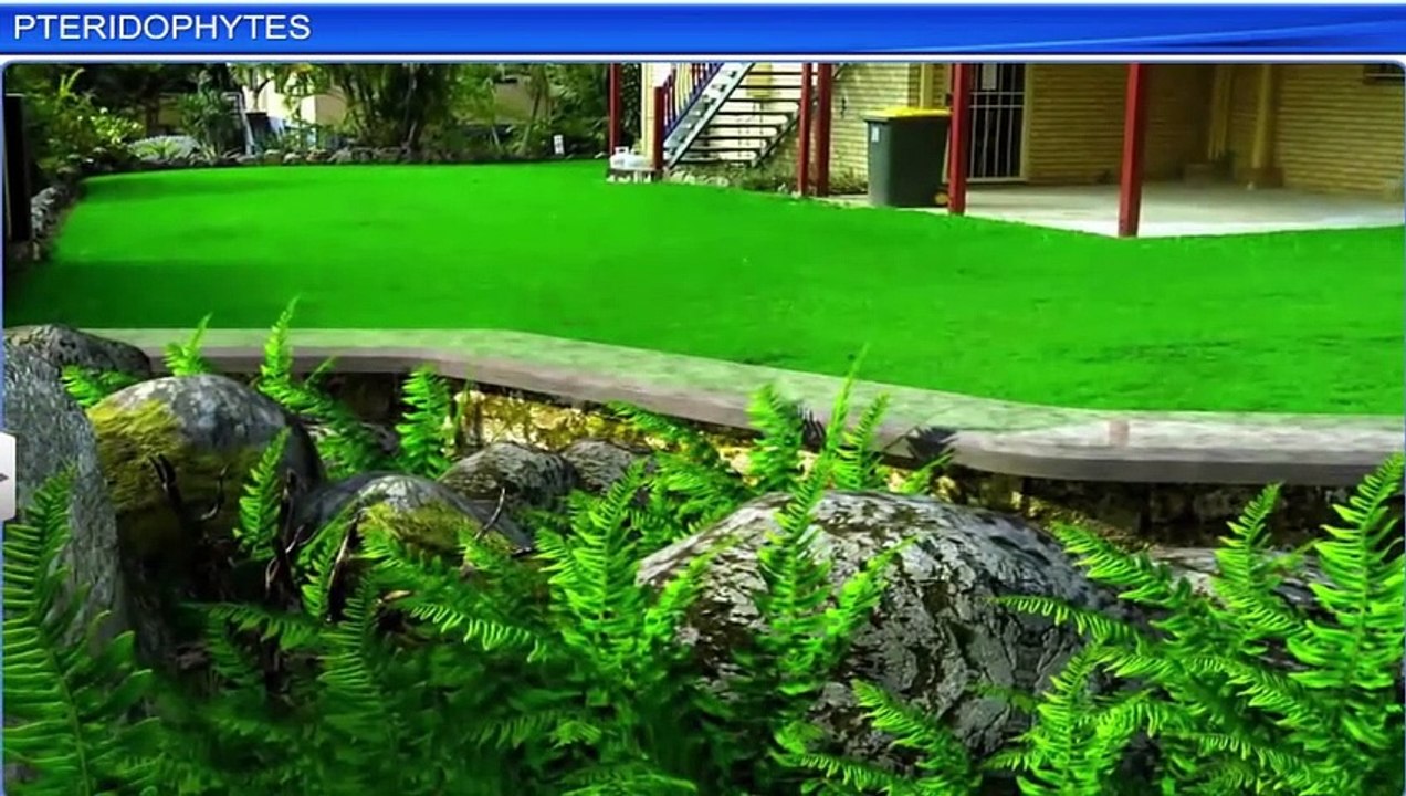 ramadan holidays khaleej times