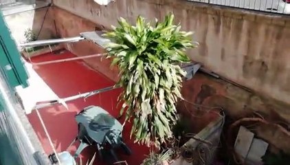 Baracche e nuove case, lunedì riprende il tour