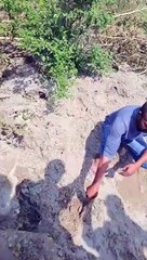 Video:ग्रेटर नोएडा में हत्या कर, महिला के शव को मिट्टी में दबाया