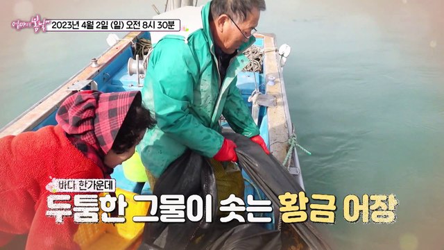 45년 만의 고백 내 사랑 숙희 씨에게_엄마의 봄날 394회 예고 TV CHOSUN 230402 방송