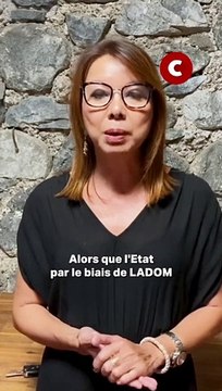 Sandrine Aho-Nienne, conseillère régionale : j'estime que le rôle de la région est d'aider les Réunionnais !