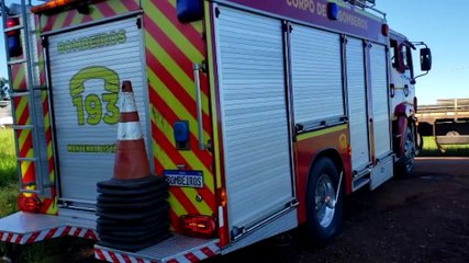 Gambá invade clínica no Country e é resgatado pelos Bombeiros