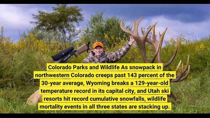 Brutal Winter Causing Huge Losses in Western Big Game Herds