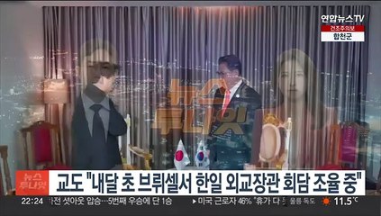 교도 "내달초 브뤼셀서 한일 외교장관 회담 조율중"