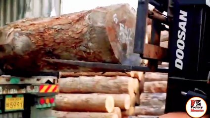 Turning a Giant Tree into an Expensive Dining Table. Korea's Wooden Table Mass   Production Process