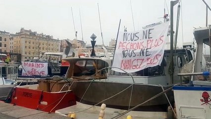 Vieux Port de Marseille : des pêcheurs manifestent contre un projet de loi européen