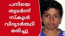 പനിയെ തുടർന്ന് സ്കൂൾ വിദ്യാർത്ഥി മരിച്ചു