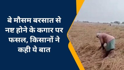 चन्दौली: जिले में रुक-रुक कर हो रही बारिश ने बढ़ाई किसानों की चिंता, कर्ज का सता रहा डर