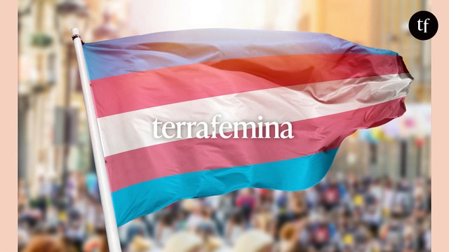 Aux Etats-Unis, l'adoption d'une loi anti-trans hyper répressive