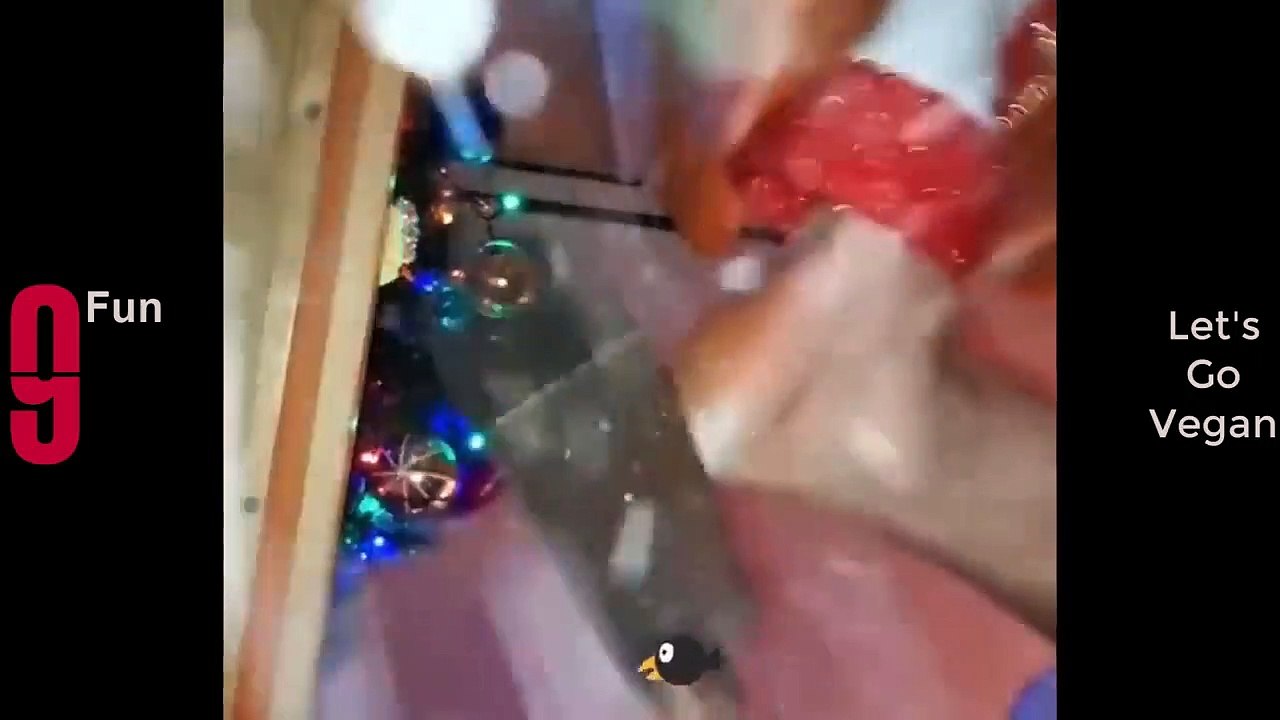 TRY NOT TO LAUGH  Best Funny Videos Compilation