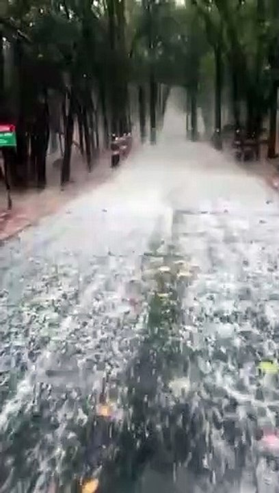 मैनपाट में भारी ओलावृष्टि, सडक़ पर बिछी सफेद चाद...