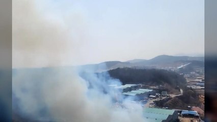 용인 야산에 산불...헬기 투입해 50분 만에 진화 / YTN