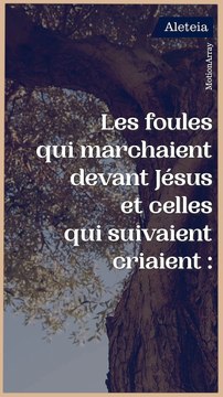 Carême 2023 : Dimanche des rameaux