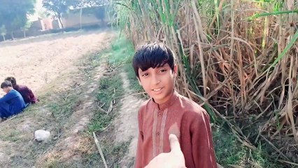 madhumakkhi ka chatta utarny gaye lekin __  شہد کی مکھی کا چھتا لینے گئے لیکن