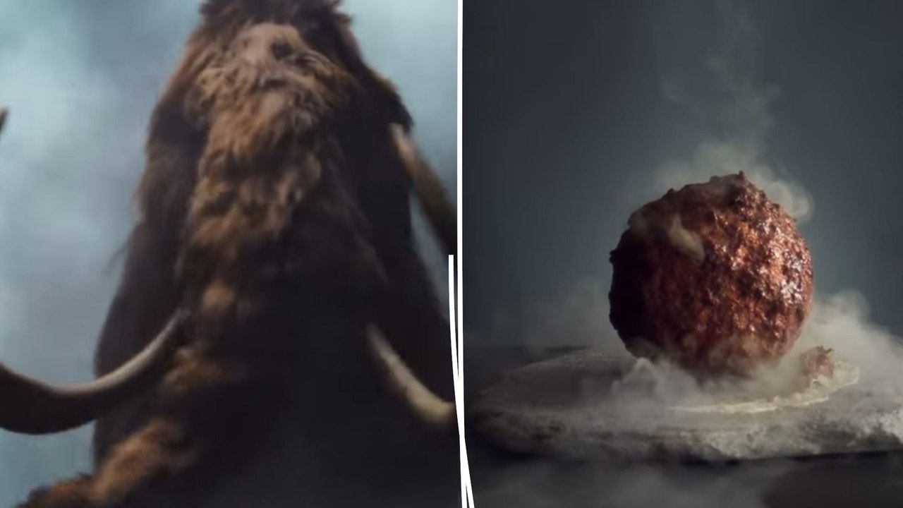 Boulette de viande de mammouth : « Un bon coup marketing mais pas une révolution »