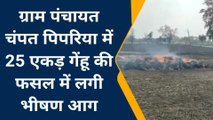 दमोहः 25 एकड़ जमीन पर लगी गेहूं की फसल जलकर हुई खाक,किसान परेशान