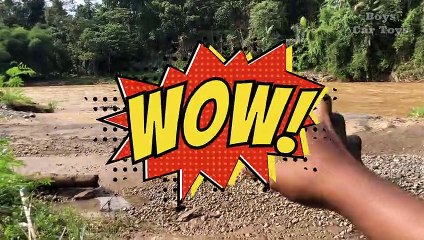 Finding a Drifting Toy in the Amazon River