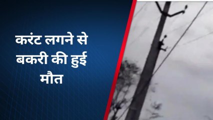 जहाजपुर: बारिश के दौरान टुटा 11 केवी विद्युत तार और फिर...