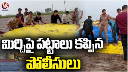 Police Officials Trying To Protect Chillies From Rain By Covering Plastic Sheets  Suryapet | V6News
