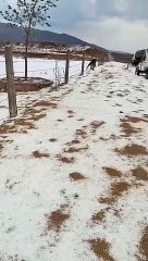 सड़क पर बिछी ओलो की चादर,देखे वीडियो